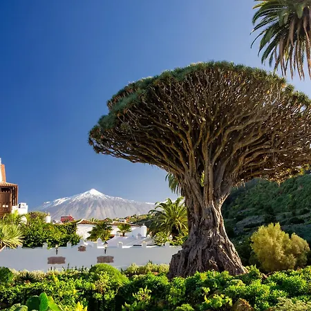 Appartement Eden Altavista Apto Torre 1 Santa-Cruz de Ténérife